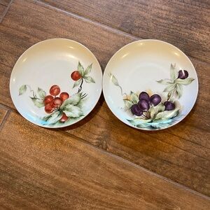 Vintage MZ Altrahlau CMR Czechoslovakia porcelain fruit plates